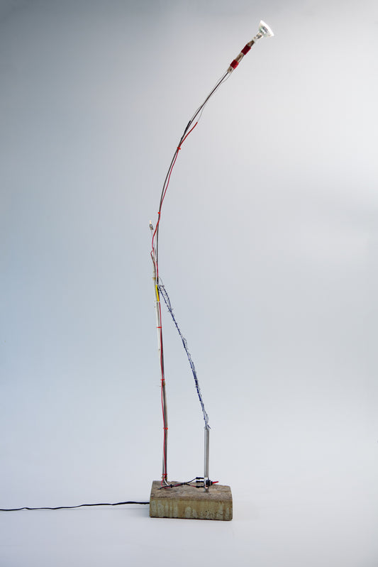 The Grand Pynchon - Lamp No.406