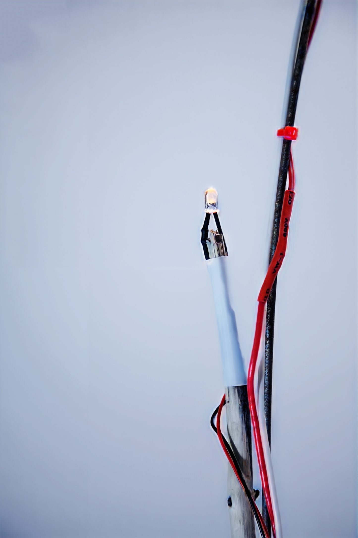 The Grand Pynchon - Lamp No.406